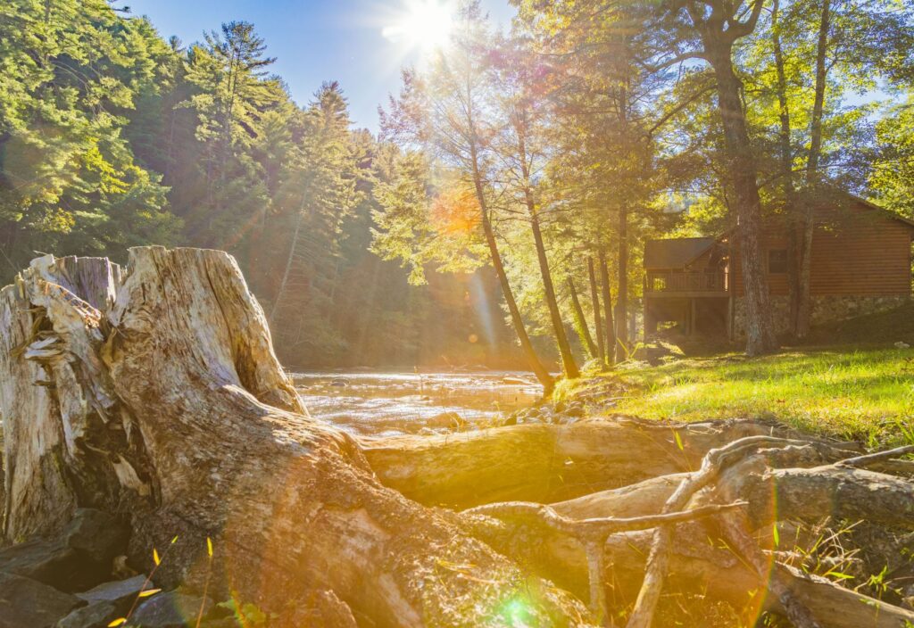 Southern Comfort Cabin Rentals Near River in the Moring Light