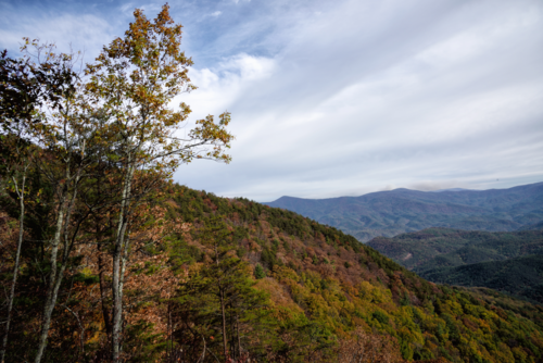 Cohutta Wilderness Mountains at Fort Mountain State Park Georgia