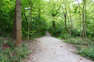 Long Branch Loop Trail